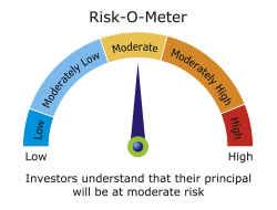 riskometer